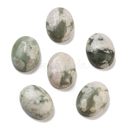 Natural Peace Jade Cabochons, Oval, 16x12x5mm(G-G145-01B-55)