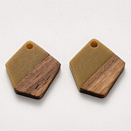 Resin & Walnut Wood Pendants, Waxed, Polygon, Dark Goldenrod, 20.5x18.5x3~4mm, Hole: 2mm(X-RESI-S384-003A-A02)