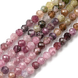 Natural Tourmaline Beads Strands, Faceted Round, 2mm, Hole: 0.5mm, about 184pcs/strand, 15.51 inch(39.4cm)(G-G0005-C04)