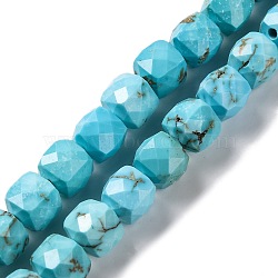 Natural Howlite Beads Strands, Dyed, Faceted Rhombus Cut, Cube, Medium Turquoise, 5x5x5mm, Hole: 1mm, about 70~81pcs/strand, 14.57~15.75''(37~40cm)(G-G001-B02-05)