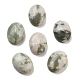 natürliche Peace-Jade-Cabochons(G-G145-01B-55)-1