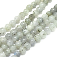 Natural Labradorite Beads Strands, Round, 6mm, Hole: 1mm, about 62pcs/Strand, 15.16 inch(38.5cm)(G-G828-01-6mm)