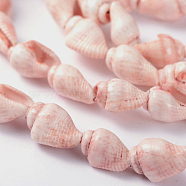 Natural Sea Shell Conch Bead Strands, Dyed, Pink, 5~8mm, Hole: 2mm, about 150pcs/strand, 56.7 inch(BSHE-O009-11)