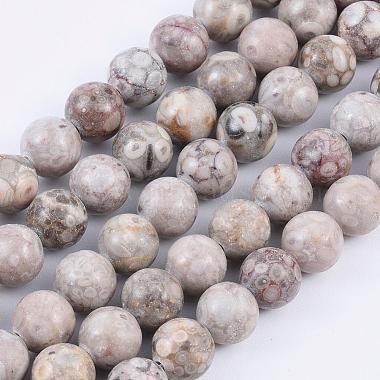 Natural Medicinal Beads Strands(G-F353-8mm)-3