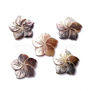 Natural Black Lip Shell Pendants, Sakura Flower Charm, 31x32x3mm, Hole: 1.8mm(SHEL-P015-07)