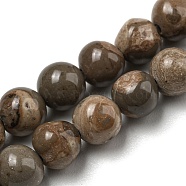 Natural Map Stone/Picasso Stone Beads Strands, Round, 6mm, Hole: 0.8mm, about 68pcs/strand, 15.75''(40cm)(G-R494-A24-02)