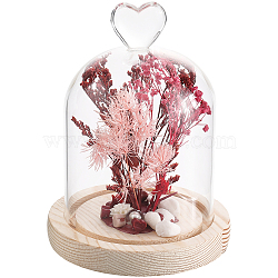 1Pc Glass Dome Cover, Decorative Display Case, Cloche Bell Jar Terrarium with Wood Base, Arch, Heart, Finished Product: 113x150mm(AJEW-SC0002-61C)