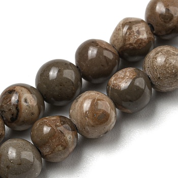 Natural Map Stone/Picasso Stone Beads Strands, Round, 6mm, Hole: 0.8mm, about 68pcs/strand, 15.75''(40cm)
