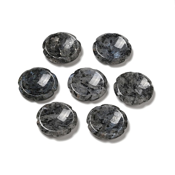 Natural Larvikite Worry Stones, Flower Shape, 37.5~38x38x7~7.5mm