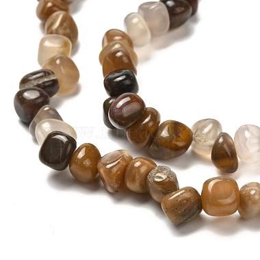 Chapelets de perles en bois pétrifié naturel(G-G031-01)-3