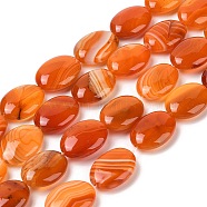 Natural Striped Agate/Banded Agate Beads Strands, Flat Oval, Dyed & Heated, Dark Orange, 18~19x24x7~8mm, Hole: 1.2mm, about 16pcs/strand, 15.75''(40cm)(G-Q182-01E)