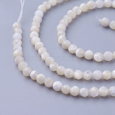 Natural Shell Beads Strands(X-G-F619-27-3mm)-3