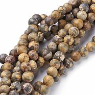 Natural Gemstone Leopard Skin Jasper Round Beads Strands, 2mm, Hole: 0.8mm, about 184pcs/strand, 16 inch(G-A130-2mm-24)