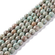 Natural Maifanite/Maifan Stone Beads Strands, Dyed, Round, Cadet Blue, 6~6.5mm, Hole: 1mm, about 61~66pcs/strand, 15.16~15.75(38.5~40cm)(G-P451-01B-D)
