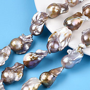 Natural Baroque Pearl Keshi Pearl Beads Strands, Cultured Freshwater Pearl, Nuggets, Plum, 22~40x16~39x12~18.5mm, Hole: 0.6mm, about 14~15pcs/strand, 16.54 inch~16.93 inch(42~43cm)(PEAR-S019-04D)