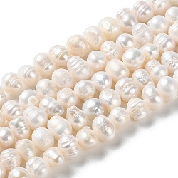 Natural Cultured Freshwater Pearl Beads Strands, Potato, Grade AB, PapayaWhip, 6.5~9x7~8mm, Hole: 0.6mm, about 49pcs/strand, 13.19 inch(33.5cm)(PEAR-E018-50)