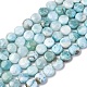Natural Larimar Beads Strands(G-F675-08)-5