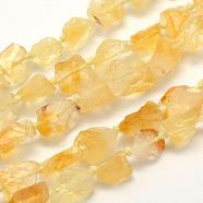 Rough Raw Natural Citrine Beads Strands, Grade A, Nuggets, 10~14x9~12mm, Hole: 1mm, about 37pcs/strand, 16.5 inch(41.9cm)(G-K202-21)