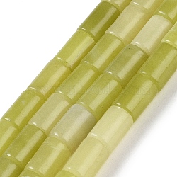 Natural Lemon Jade Beads Strands, Column, 12x8mm, Hole: 1.2mm, about 33pcs/strand, 15.63''(39.7cm)(G-Q159-A01-01)