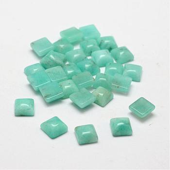 Square Natural Amazonite Cabochons, 6x6x3.5mm
