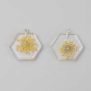 Transparent Clear Resin Pendants, with Dried Flower, Platinum Iron Loop, Hexagon, Yellow, 28x27x4mm, Hole: 1.8mm, 2pcs/bag(RESI-TAC0007-07D)