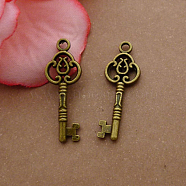 Tibetan Style Alloy Pendants, Skeleton Key, Antique Bronze, 29x10mm(X-PALLOY-N0118-146)