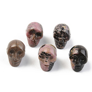 Natural Rhodonite Display Decorations, 3D Skull, 23.5~25x17.5x18.5~19.5mm(G-T132-004)