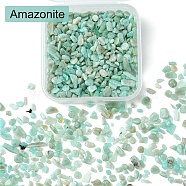 50G Natural Amazonite Chip Beads, No Hole/Undrilled, 2~12x2~10x1~3mm(G-YW0001-75)