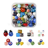 61Pcs 8 Style Handmade Lampwork Beads, Mixed Shape, Mixed Color, 4~15x4~10x2.6~7mm, Hole: 0.5~1.5mm(LAMP-YW0001-05)