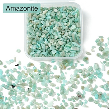 50G Natural Amazonite Chip Beads, No Hole/Undrilled, 2~12x2~10x1~3mm