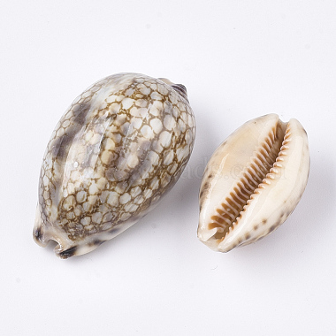 Cowrie Shell Beads(X-SSHEL-S258-59A)-2