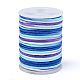 Segment Dyed Polyester Thread(NWIR-I013-C-01)-1