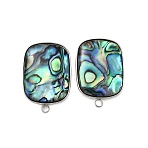 304 Stainless Steel Pave Natural Paua Shell Stud Earring Findings, Rectangle, Stainless Steel Color, 25x17mm, Hole: 2mm, Pin: 1mm(STAS-Z125-08P)