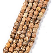 Natural Picture Jasper Beads Strands, Nuggets Tumbled Stone, 6.5~15x7~14x7~14mm, Hole: 1~1.4mm, about 32~33pcs/strand, 15.16~ 15.75 inch(38.5~40cm)(G-C038-02B)