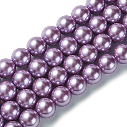 Eco-Friendly Glass Pearl Beads Strands, Grade A, Round, Dyed, Cotton Cord Threaded, Violet, 14mm, Hole: 1.2~1.5mm, about 30pcs/strand, 15.7 inch(HY-A008-14mm-RB056)