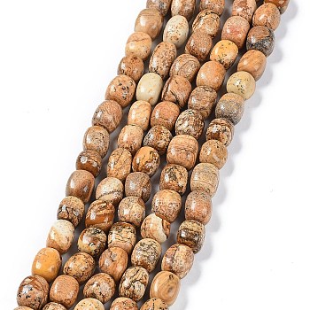 Natural Picture Jasper Beads Strands, Nuggets Tumbled Stone, 6.5~15x7~14x7~14mm, Hole: 1~1.4mm, about 32~33pcs/strand, 15.16~ 15.75 inch(38.5~40cm)