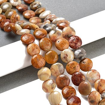 Flat Round Natural Crazy Lace Agate Beads Strands, Pale Goldenrod, 12x5mm, Hole: 1mm, about 33pcs/strand, 15.7 inch