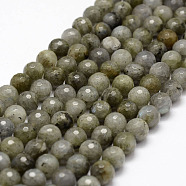 Faceted Natural Labradorite Beads Strands, Round, 8mm, Hole: 1mm, about 47pcs/strand, 14.9 inch(G-F364-17-8mm)