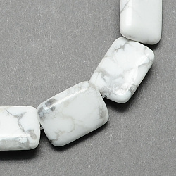 Rectangle Shaped Gemstone Natural Howlite Stone Beads Strands, White, 18x13x6mm, Hole: 1mm, about 22pcs/strand, 15.7 inch(G-S112-23)