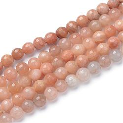 Natural Red Aventurine Bead Strands, Faceted Round, 8mm, Hole: 1mm, about 50pcs/strand, 15.7 inch(G-R411-04-8mm)