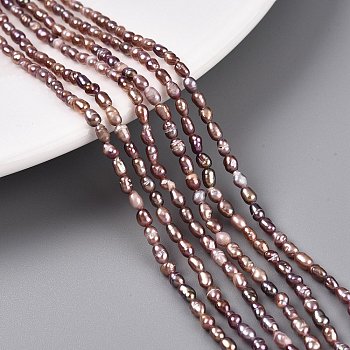 Natural Cultured Freshwater Pearl Beads Strands, Rice, Old Rose, 2.5~4.5x1.5~2.5mm, Hole: 0.5mm, about 79~81pcs/strand, 13.78 inch(35cm)