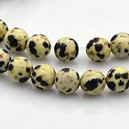 Round Natural Dalmatian Jasper Beads Strands, 8mm, Hole: 1mm, about 50pcs/strand, 15.7 inch(G-N0120-23-8mm)