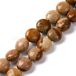 Natural Picture Jasper Beads Strands, Flat Round, 7.5~8x4.5~5mm, Hole: 1.2mm, about 50~51pcsrand, 14.57~15.35 inch(37~39cm)(G-T047-A22-01)