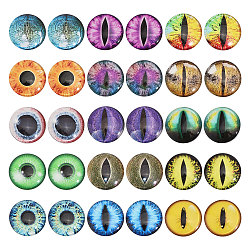 30Pcs 15 Colors Luminous Self Adhesive Glass Eyes Cabochons, Glow in the Dark, for Doll Making Accessories, Dome/Half Round, Mixed Color, 30x6mm, 2pcs/color(DIY-CA0006-29)