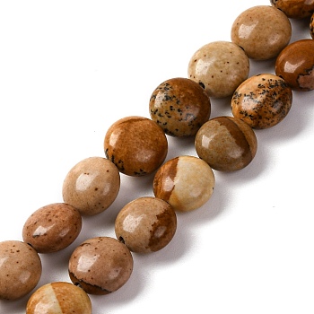 Natural Picture Jasper Beads Strands, Flat Round, 7.5~8x4.5~5mm, Hole: 1.2mm, about 50~51pcsrand, 14.57~15.35 inch(37~39cm)