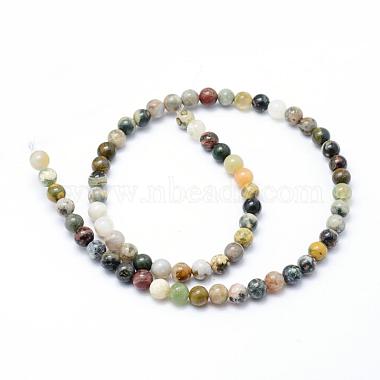 Natural Ocean Jasper Beads Strands(G-P326-06-6mm)-2