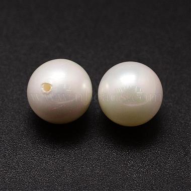 Shell Pearl Beads(BSHE-L031-01-16mm)-2