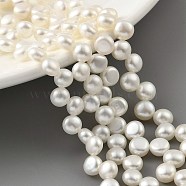 Natural Cultured Freshwater Pearl Beads Strands, Top Drilled, Half Round, Old Lace, 5~6mm, Hole: 0.5mm, about 47pcs/strand, 8.66 inch(22cm)(PEAR-A006-20)