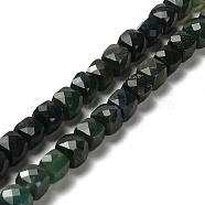 Natural Moss Agate Beads Strands, Faceted, Cube, 6.5~7.5x6.5~7.5x6.5~7.5mm, Hole: 1.2mm, about 57~58pcs/strand, 15.35''~15.55''(39~39.5cm)(G-H078-C30-01)