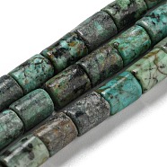 Natural African Turquoise(Jasper) Beads Strands, Column, 7.5~8x6mm, Hole: 1.2mm, about 48~50pcs/strand,  15.16''~15.31''(38.5~38.9cm)(G-Q1008-A09)